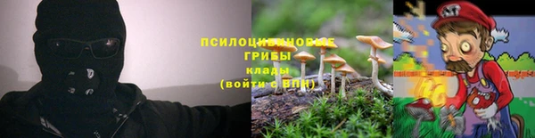 дживик Приозерск