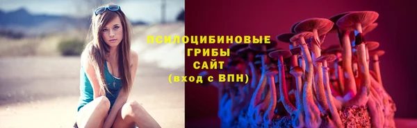 дживик Арсеньев