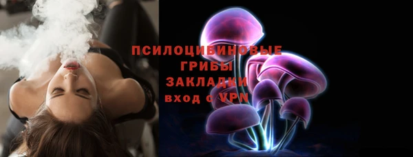 дживик Арсеньев