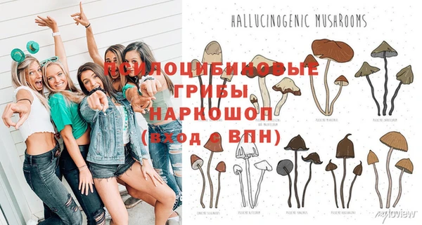 дживик Арсеньев