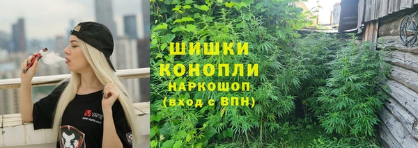 твердый Аркадак